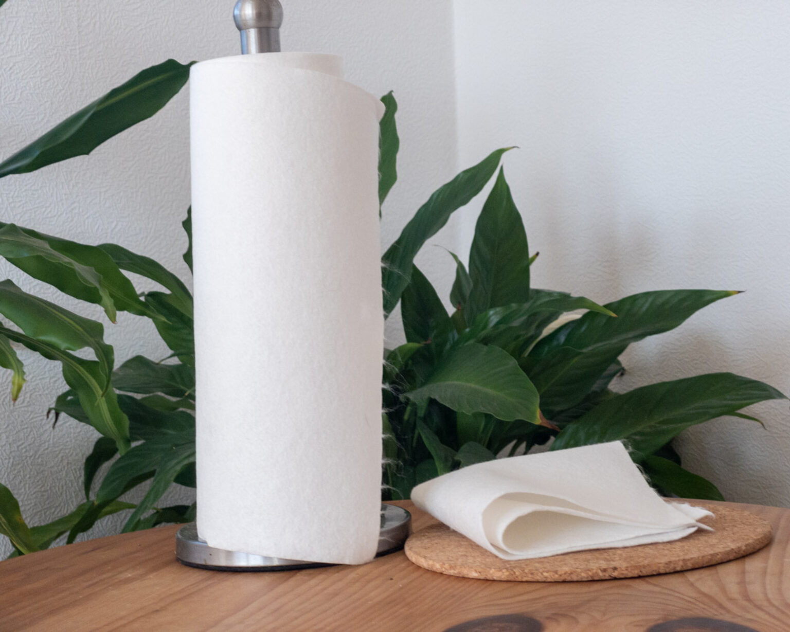 [Review] Bamboo Paper Towels 2B Lady